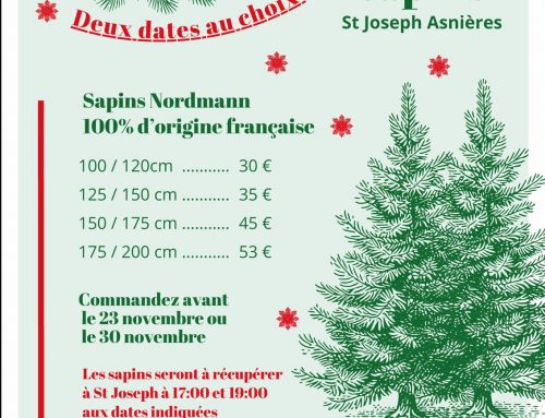 Sapins de noël de l’Apel 2025